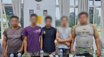 Jatanras Sat Reskrim Polres Simalungun Kembali Beraksi, Ringkus 5 Bandit Pencuri TBS di PTPN-4