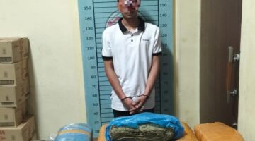 Sat Narkoba Polres Agara Bongkar Peredaran 17,80 Kg Ganja, Pelaku Masih 21 Tahun