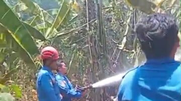 Kebakaran Pekarangan Landa Pemukiman di Debong Wetan Tegal, Petugas Gabungan Sigap Jinakkan Api